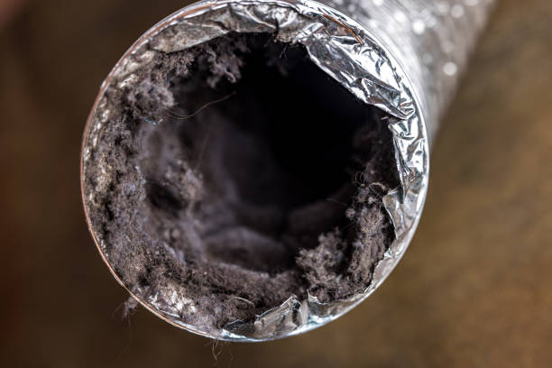 Best Affordable Duct Cleaning Services  in Yoncalla, OR