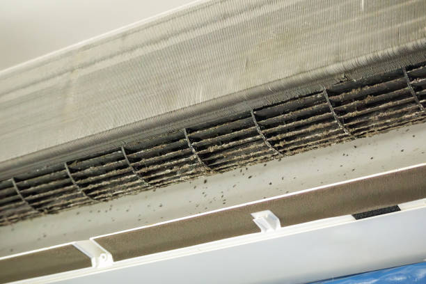 Best Air Vent Cleaning Services  in Yoncalla, OR